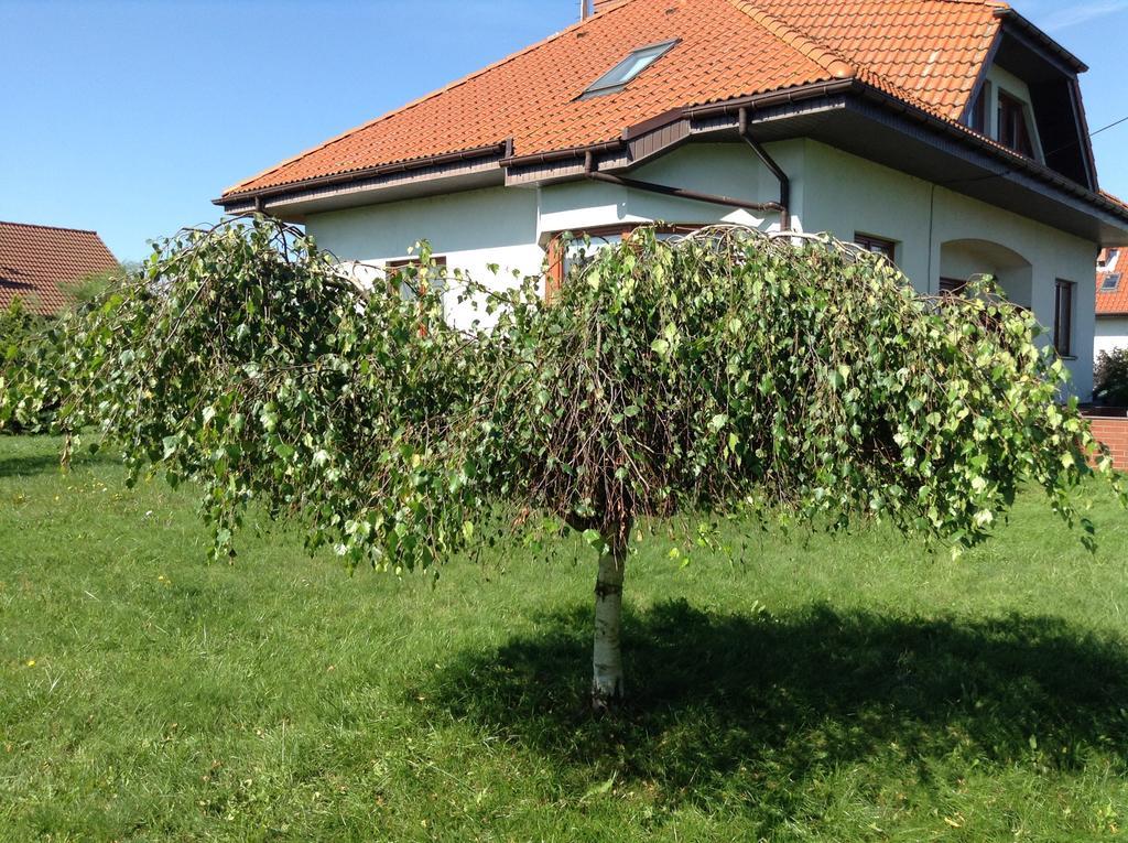 Landhaus Mit Garten Štetín Exteriér fotografie